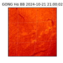 gong - 2024-10-21T21:00:02