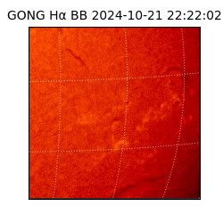 gong - 2024-10-21T22:22:02