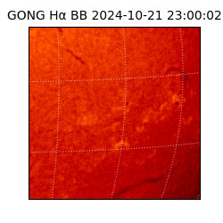 gong - 2024-10-21T23:00:02