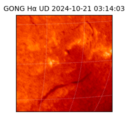 gong - 2024-10-21T03:14:03