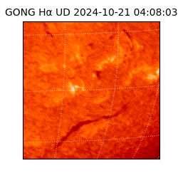 gong - 2024-10-21T04:08:03