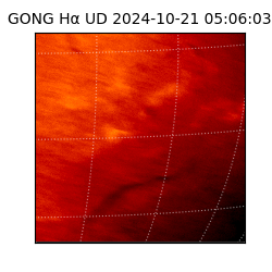 gong - 2024-10-21T05:06:03