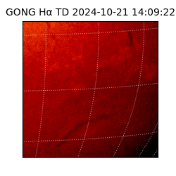 gong - 2024-10-21T14:09:22