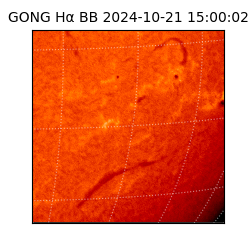 gong - 2024-10-21T15:00:02