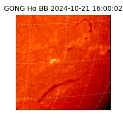 gong - 2024-10-21T16:00:02