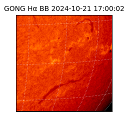 gong - 2024-10-21T17:00:02