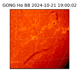 gong - 2024-10-21T19:00:02