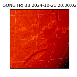 gong - 2024-10-21T20:00:02