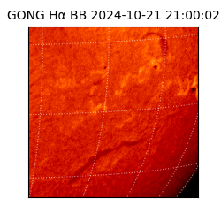 gong - 2024-10-21T21:00:02