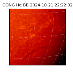 gong - 2024-10-21T22:22:02