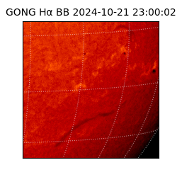 gong - 2024-10-21T23:00:02