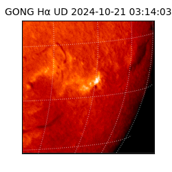 gong - 2024-10-21T03:14:03