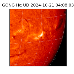 gong - 2024-10-21T04:08:03