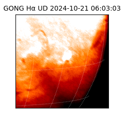 gong - 2024-10-21T06:03:03