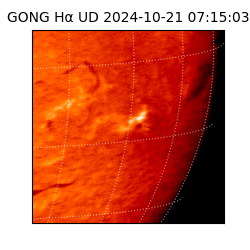 gong - 2024-10-21T07:15:03