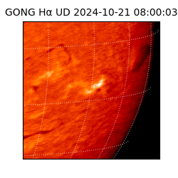 gong - 2024-10-21T08:00:03