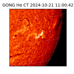 gong - 2024-10-21T11:00:42