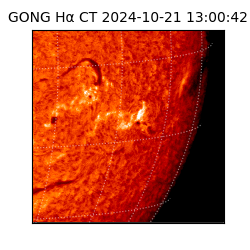 gong - 2024-10-21T13:00:42