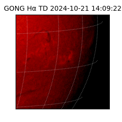 gong - 2024-10-21T14:09:22