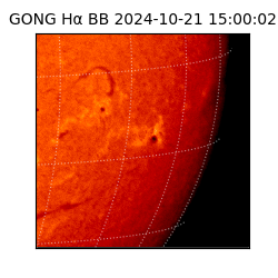 gong - 2024-10-21T15:00:02