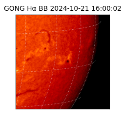 gong - 2024-10-21T16:00:02