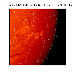 gong - 2024-10-21T17:00:02