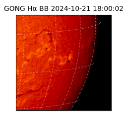 gong - 2024-10-21T18:00:02