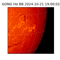 gong - 2024-10-21T19:00:02