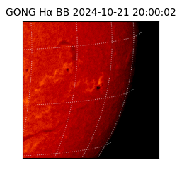 gong - 2024-10-21T20:00:02