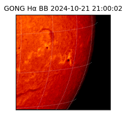 gong - 2024-10-21T21:00:02