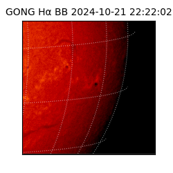 gong - 2024-10-21T22:22:02