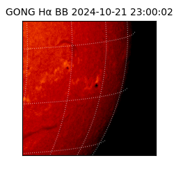 gong - 2024-10-21T23:00:02