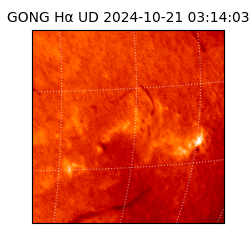 gong - 2024-10-21T03:14:03