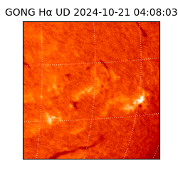 gong - 2024-10-21T04:08:03