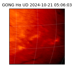 gong - 2024-10-21T05:06:03