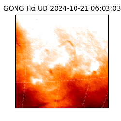 gong - 2024-10-21T06:03:03