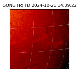 gong - 2024-10-21T14:09:22