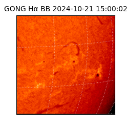 gong - 2024-10-21T15:00:02