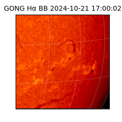 gong - 2024-10-21T17:00:02