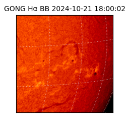 gong - 2024-10-21T18:00:02