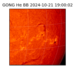 gong - 2024-10-21T19:00:02