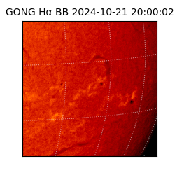 gong - 2024-10-21T20:00:02