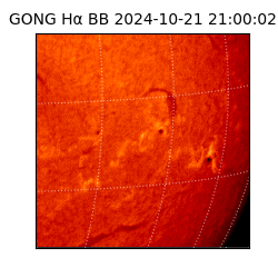 gong - 2024-10-21T21:00:02