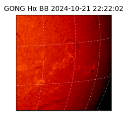 gong - 2024-10-21T22:22:02