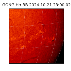 gong - 2024-10-21T23:00:02