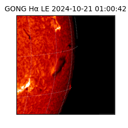 gong - 2024-10-21T01:00:42