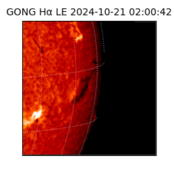 gong - 2024-10-21T02:00:42