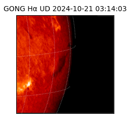 gong - 2024-10-21T03:14:03