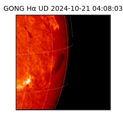 gong - 2024-10-21T04:08:03