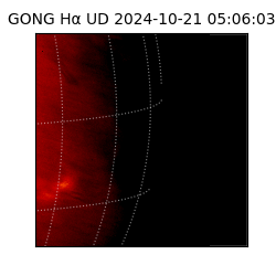 gong - 2024-10-21T05:06:03